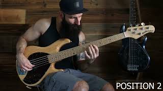 Erykah Badu  Penitentiary Philosophy Bass Cover [upl. by Hirsh]