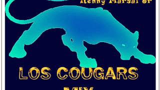 Los Cougars Mix Cumbias Inmortales [upl. by Eelta429]