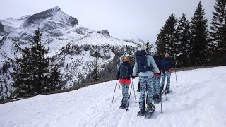 Kinder wandern mit Schneeschuhen Tipps von Experten [upl. by Ahsatsana597]