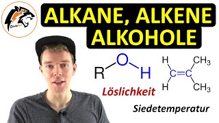 Alkane Alkene Alkine amp Alkohole  Zusammenfassung [upl. by Navetse125]