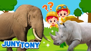 Los Animales Terrestres Más Grandes  Elefante Rinoceronte  JunyTony en español [upl. by Noirb]