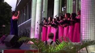 Christmas Carols with the Seychelles National Choir 2013 [upl. by Nirrol]