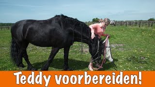 Paard voorbereiden voor wedstrijd DEEL 1  PaardenpraatTV [upl. by Teplitz]