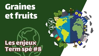 Graines et fruits  SVT  ENJEUX Term spé 8  Mathrix [upl. by Waligore459]