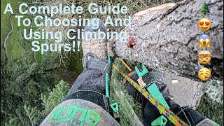 EVERYTHING You Need To Know About Tree Climbing Spurs A Complete Guide to Choosing and Using Spurs [upl. by Oirevas]