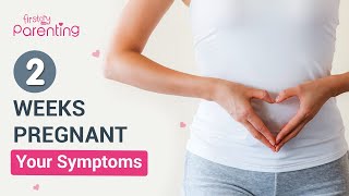 2 Weeks Pregnancy Symptoms  Know the Very Early Signs of Pregnancy [upl. by Kreis]