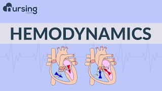 The Basics of Hemodynamics Nursing School Lessons [upl. by Novat418]