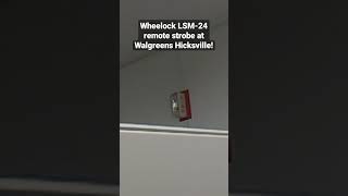 Wheelock MT strobe only at a Walgreens shorts firealarms subscribe [upl. by Rector824]