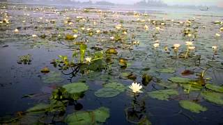 bakhira jheel [upl. by Sevein331]