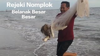 Rejeki Nomplok Dapat Ikan Belanak BesarBesar Padahal Menjala Dari Pinggiran Aja [upl. by Acsicnarf]