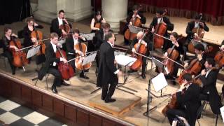 London Cello Orchestra  Tchaikovsky Pas de deux [upl. by Aikim]