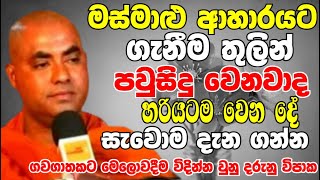 මස් මාළු ආහාරයට ගැනීමෙන් ඔබට හරියටම වෙන දේ සැවොම දැනගන්න  Ven Koralayagama Saranathissa Thero 2024 [upl. by Ng652]