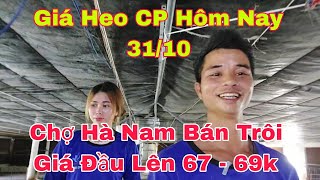 Chia Sẻ Cách Cho Heo Con Đi Vệ Sinh Đúng Chỗnongtraihoakieu [upl. by Jurkoic]