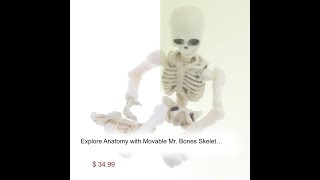 Explore Anatomy with Movable Mr Bones Skeleton  Fully Articulated Durable amp Lifelike Skeleton [upl. by Niai594]