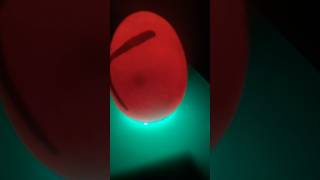 Egg hatching  Chicken egg baby moving  Light test for egg Hatching hatchingeggs eggs eggfarmer [upl. by Suhail]