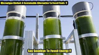 Microalgae Biofuel A Sustainable Alternative To Fossil Fuels Say Goodbye To Fossil Energy [upl. by Zola]