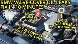 BMW VALVECOVER OIL LEAKS  FIX IN 10 MINUTES [upl. by Pruter]