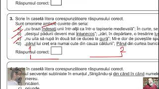 Subiectele IB3 și IB4  Evaluarea Națională 2024 limba română [upl. by Aonehc205]