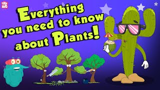 Everything You Need To Know About Plants  Source Of Oxygen  The Dr Binocs Show  Peekaboo Kidz [upl. by Ahsiekahs]