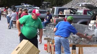 Pennsylvania Avicultural Society Fall Tailgate Sale at Lake Tobias 2013 [upl. by Litsyrk715]