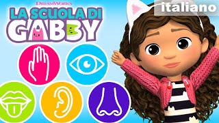 Impara i 5 sensi Vista udito olfatto  giochi di apprendimento per bambini  LA SCUOLA DI GABBY [upl. by Htiekel]