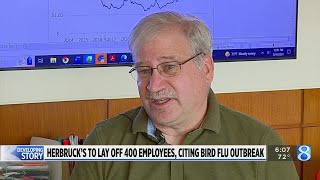 Herbruck’s to lay off 400 employees citing bird flu outbreak [upl. by Casavant]