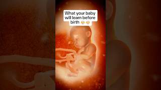 🤯🤯What Your Baby Already Knows By Birth [upl. by Esmerelda596]