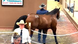 2022 Ruidoso Select Yearling Sale Day 1 [upl. by Grory416]