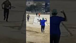 Good Pace and Run Out  Cricket Video 54 🏏🏏🏏 cricket bolwing shorts [upl. by Ingraham]