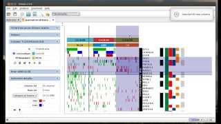 Sorting and stratifying heatmaps in Gitools TCGA genomics alteration data [upl. by Ricoriki]