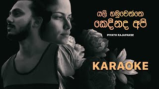 Piyath Rajapakse  Yali Hamuwenne Kedhinadha Api Instrumental Chords and Lyrics [upl. by Alexandr]