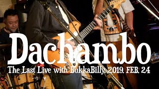 Dachambo The Last live with Bukka Biilly set101 THUMBS UPYokohamaJapan2019FEB24 [upl. by Aerdnaed]