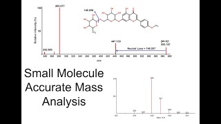 13 Small Molecule Accurate Mass Analysis [upl. by Annaor]