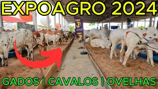 ExpoAgro Maceió 2024  Evento COMPLETO  4K UHD [upl. by Leanne615]