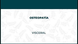 Osteopatía Visceral  FisioClinics Logroño La Rioja [upl. by Etti]