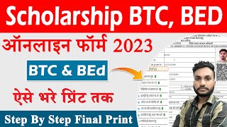 BTC Scholarship Online Form 2023 Kaise Bhare  UP BEd BTC Scholarship Online form 2023 [upl. by Lainahtan522]