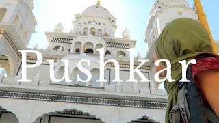 14 THINGS TO DO IN PUSHKAR  PUSHKAR TRAVEL GUIDE  INDIA VLOG [upl. by Panter]