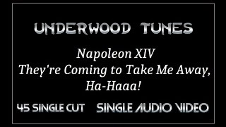 Napoleon XIV  Theyre Coming to Take Me Away HaHaaa  1966  Single Audio Video [upl. by Rouvin813]