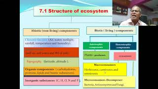 ECOSYSTEM PART1INTRODUCTION சூழல் மண்டலம் பாகம் 1 முன்னுரை [upl. by Rases]