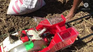 Corn maize planting using push seeder Paano magtanim ng mais gamit ang corn planter PIONEER seeds [upl. by Tehc]