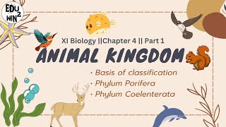 Animal Kingdom  Class 11 Biology  Chapter 4 Part 1 [upl. by Nason926]