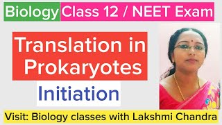 Translation in Prokaryotes Initiation  Class 12 Biology  NEET Biology [upl. by Lili]