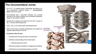 Uncovertebral Joints  Function and Dysfunction [upl. by Ayian]