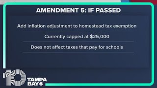 Florida voters prepare to decide on 6 different amendments [upl. by Pavel94]