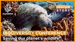 Is it too late to save our planets biodiversity  Inside Story [upl. by Ricker980]