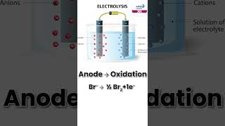 Electrolysis of Molten PbBr2  Chemistry  Shorts  Infinity Learn JEE [upl. by Atteroc]