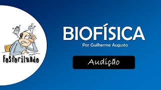 AUDIÇÃO Audiometria e surdez  BIOFÍSICA [upl. by Oiceladni]