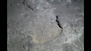 Malheur Cave video 1 part 2 6k [upl. by Dustman]