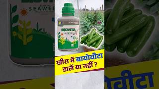 बायोवीटा खाद  Biovita Fertilizer  seaweed agriculture cucumber farming biovita farmer [upl. by Alaehs]