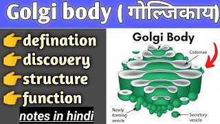 golgi body structure and function in hindi cell biology bsc biology [upl. by Naes797]